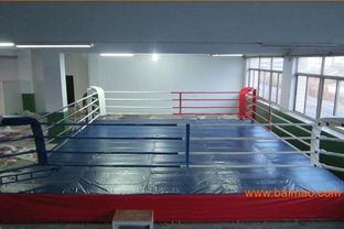 安徽不倒翁拳擊沙袋及散打臺購買指南 品牌、廠家與價格全解析